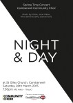 Night and Day Poster